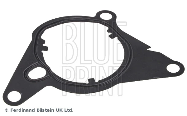 Gasket, vacuum pump